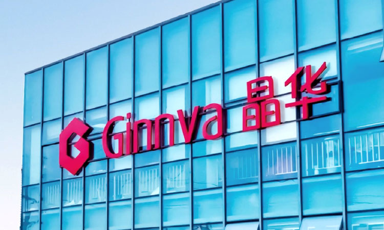 Ginnva Auto Film
